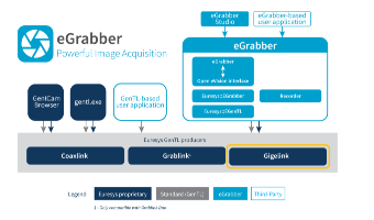 eGrabber Gigelink